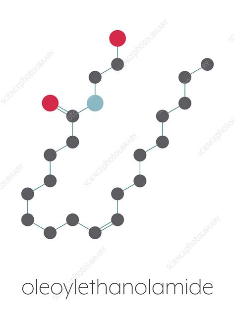 Oleoylethanolamide Molecule Illustration Stock Image F0299839