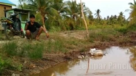 MANCING IKAN PAPUYU BETOK Part 3 Umpan Tepung YouTube