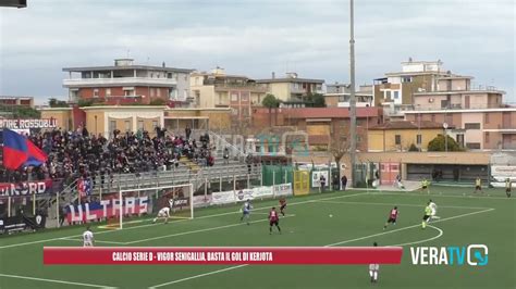 Calcio Serie D La Vigor Senigallia Batte Il Termoli E Ci Crede Ancora