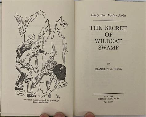 Two Hardy Boys Hardbound Mysteries, the Great Airport Mystery, 1965 Rev ...