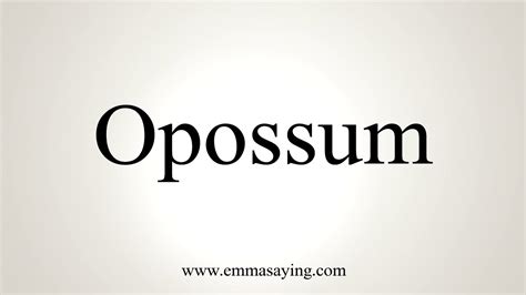 How To Pronounce Opossum - YouTube