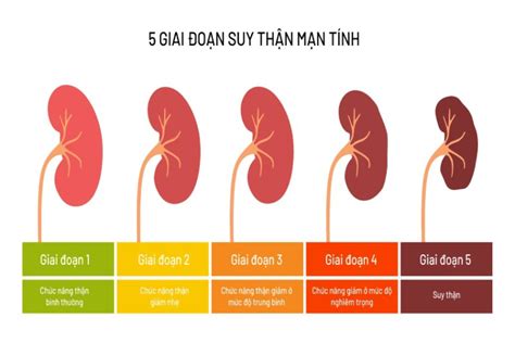 Các giai đoạn suy thận diễn ra như thế nào Long Châu