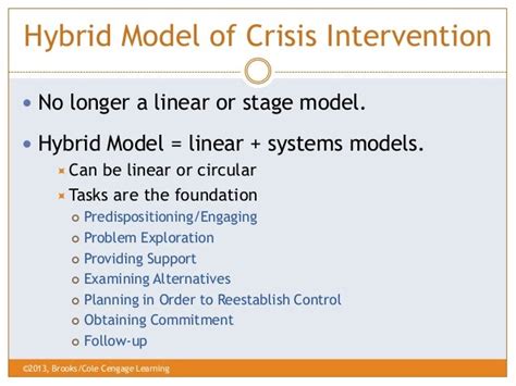 3 the intervention and assessment models