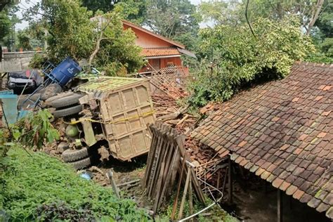 Truk Tronton Timpa Kandang Sapi Peternak Minta Ganti Rugi Tahu