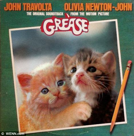 Classic Album Covers Reimagined With Kittens Artofit