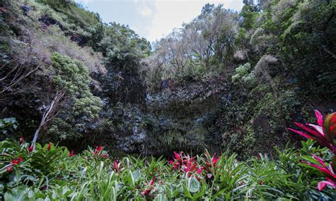 How To See Fern Grotto Kauai Hawaii Aloha Travel