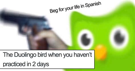 Duolingo Memes Make You Think Twice About Missing Your Spanish Test