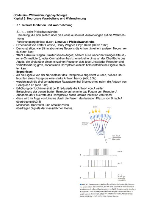 Allgemeine Psychologie Zusammenfassung Goldstein