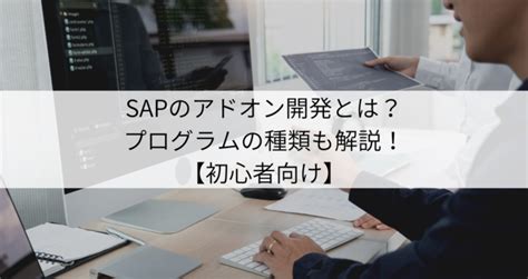 SAPのアドオン開発とはプログラムの種類も解説初心者向け ContactEARTH for Expert