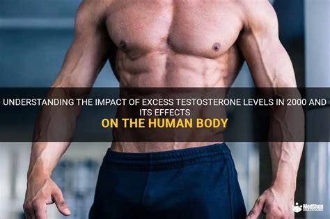 Understanding The Impact Of Excess Testosterone Levels In 2000 And Its