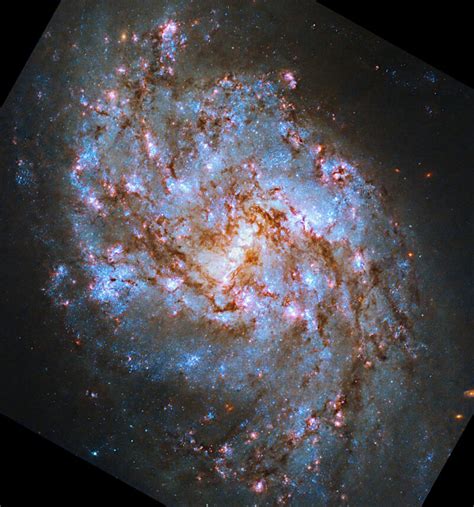 ウェッブ／ハッブル望遠鏡がとらえたフェイスオン渦巻銀河「ngc 1087」 アストロピクス