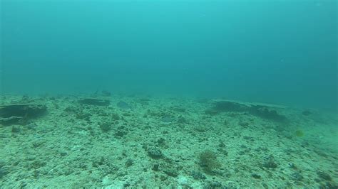 Douglas Shoal Sediment Sampling Panorama Video A Gh