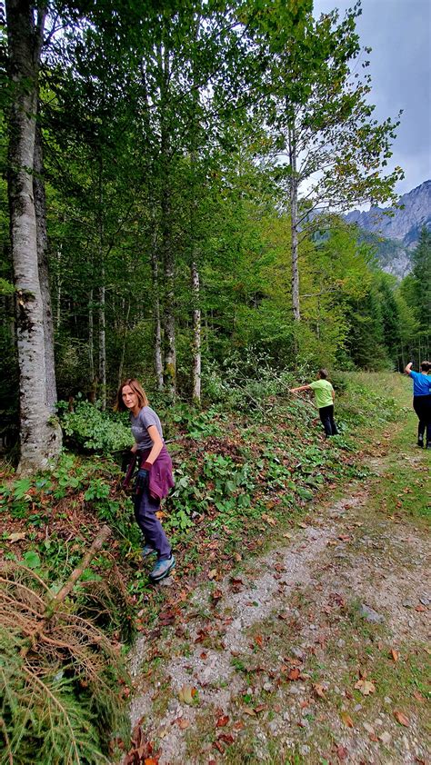 Delovna Akcija Skupnosti Naravnih Parkov V Logarski Dolini Ob Ina