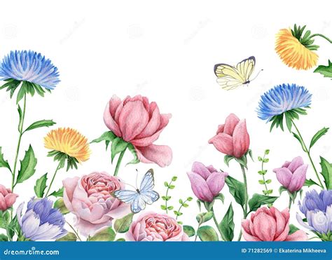 Chicory And Butterflies Watercolor Painting Stock Photo Cartoondealer