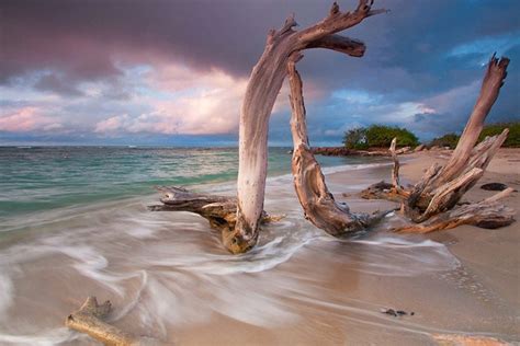 Beach Photography Large Art Driftwood Photo Ocean Picture - Etsy