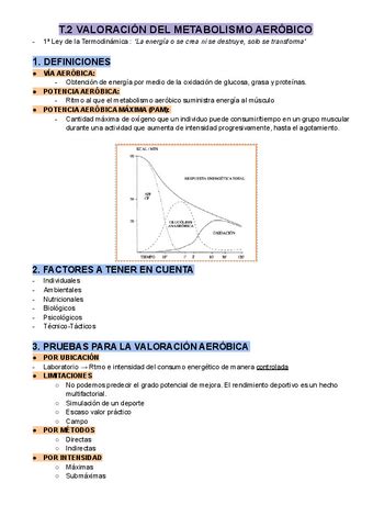 T Valoracion Del Metabolismo Aerobico Pdf