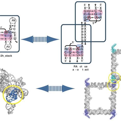 List Of Rna Structural Motifs Mentioned In This Article And In Refs 6