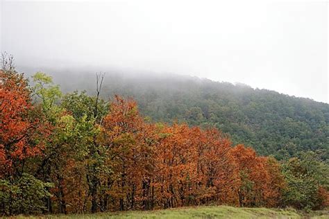 Fall Foliage In West Virgina Photo Background And Picture For Free ...