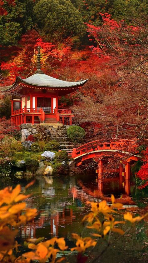 Japan Fall Wallpapers Top Free Japan Fall Backgrounds Wallpaperaccess