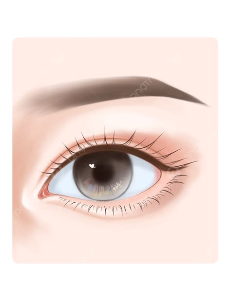 Eyebrow Threading PNG, Vector, PSD, and Clipart With Transparent