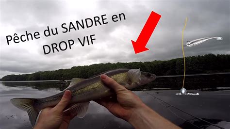 Pêche du SANDRE en DROP VIF YouTube