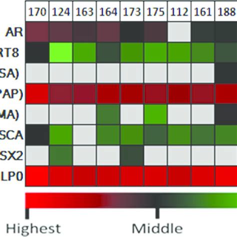 Quantitative Analysis Of Baseline Expression Of Cancer Testis Antigen