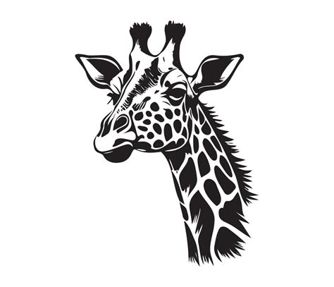 Giraffe Face Silhouettes Giraffe Face Black And White Giraffe Vector Giraffe Vector Art