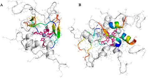 Zinc Coordinated Hiapp Oligomer Representative Structures Of A