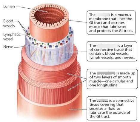 Biology 3 Unit 3 Diagram Quizlet