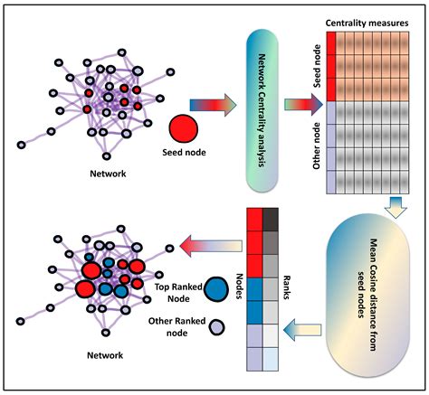 Entropy Free Full Text Ranking Plant Network Nodes Based On Their