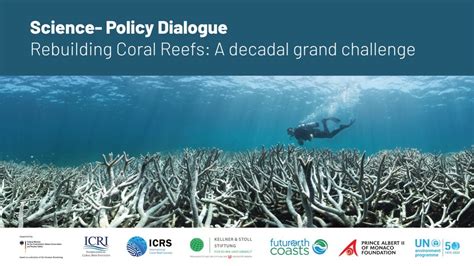 Rebuilding Coral Reefs A Decadal Grand Challenge Youtube