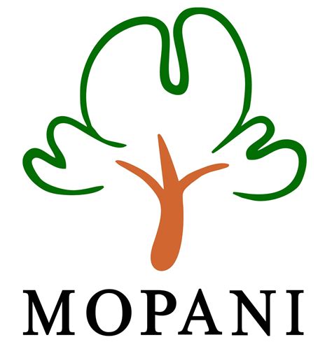 Mopani Copper Mines Plc – ZCCM Investments Holdings Plc