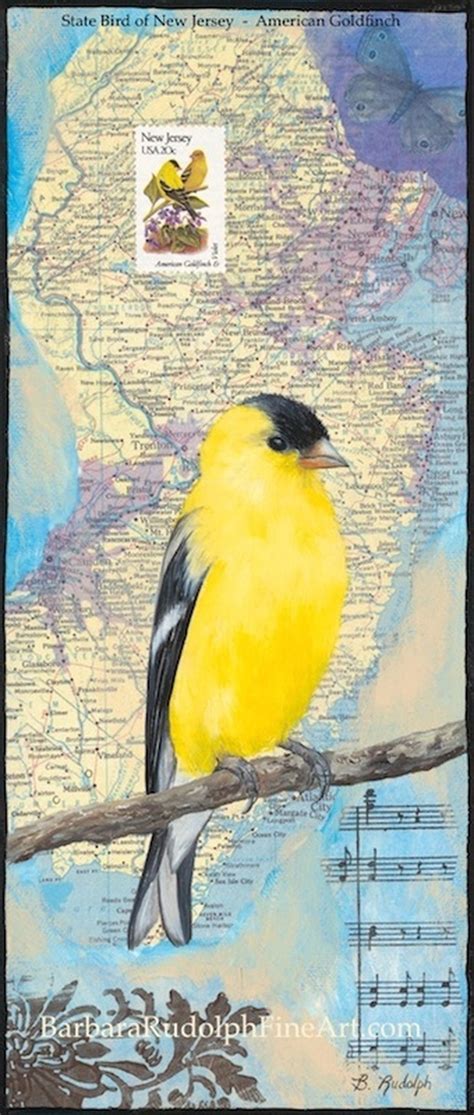 State Bird Of New Jersey Original Art By Barbara Rudolph Fine Art