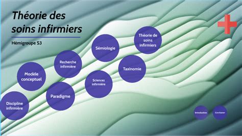 Théorie des soins infirmiers by PROMO 2020 2023 on Prezi