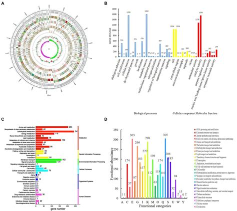 Frontiers Biocontrol Activity And Action Mechanism Of Bacillus