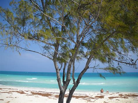 Cayo Santa María, Cuba