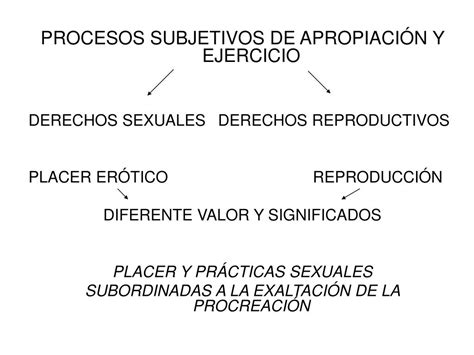 PPT PROCESOS SUBJETIVOS DE APROPIACIÓN Y EJERCICIO DE LOS DERECHOS