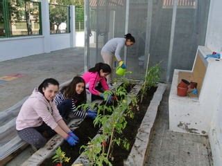 El Huerto Escolar En Primaria Ceip San Pedro Ppt