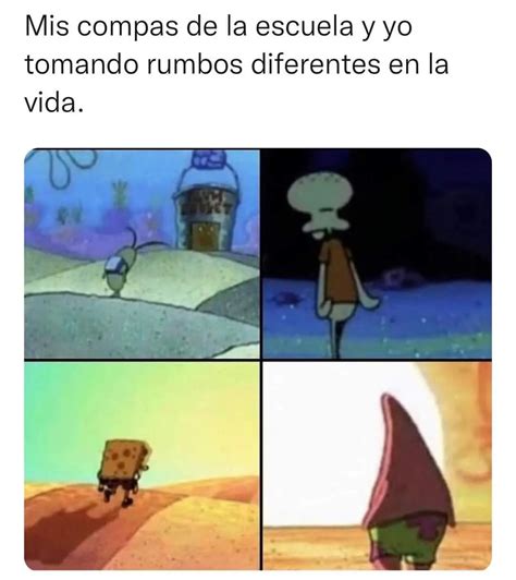 Mis Compas De La Escuela Y Yo Tomando Rumbos Diferentes En La Vida Memes