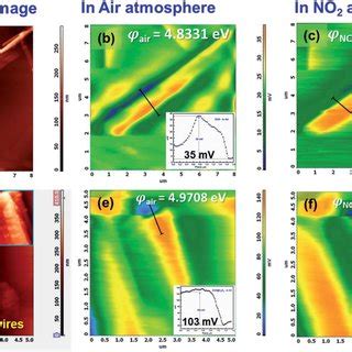 Representative Afm Topographical Images Of A Zno Nanowires And D