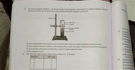 The Given Diagram Displays A Chemical Reaction Showing Iron Nails Dipped