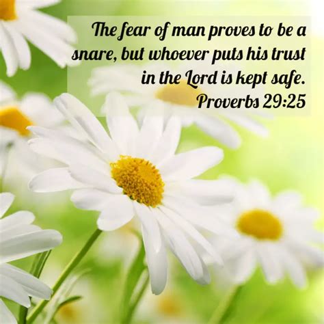 Proverbs 29:25 – Fear of Man – Encouraging Bible Verses