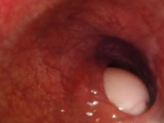 POV 12インチのディルドであなたを深く押し込む Pornhub Gay