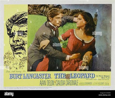 The Leopard - Movie Poster Stock Photo - Alamy