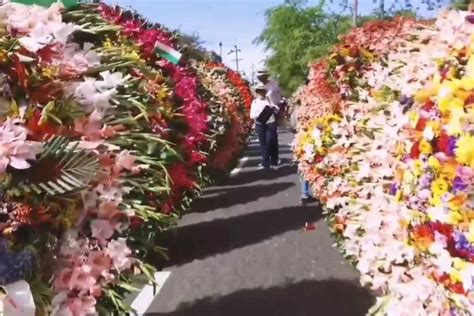 La Feria de las Flores 2023 se queda sin graderías gratuitas para el