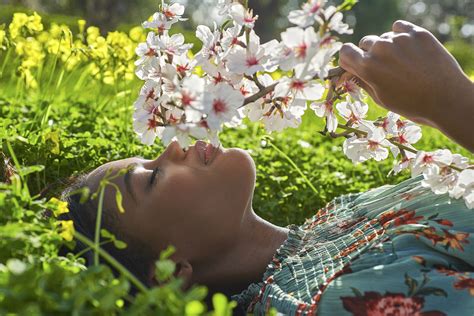 Castro Marim Festival Das Amendoeiras Em Flor Regressa A Alta Mora