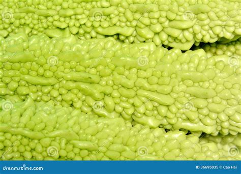 Surface Of Bitter Gourd Stock Image Image Of Compositon 36695035