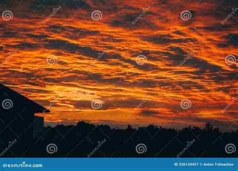 A Beautiful Sunset Sky With Golden Clouds Panorama View Stock Image