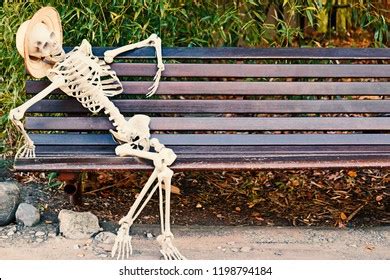 Skeleton Bench Images, Stock Photos & Vectors | Shutterstock