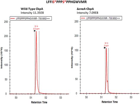 Frontiers Identification And Mutational Analyses Of Phosphorylation